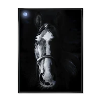 Horse Staring Sinister  Wall Art