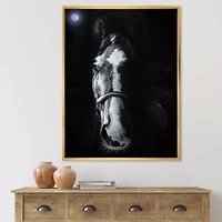 Horse Staring Sinister  Wall Art