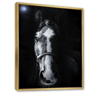 Horse Staring Sinister  Wall Art