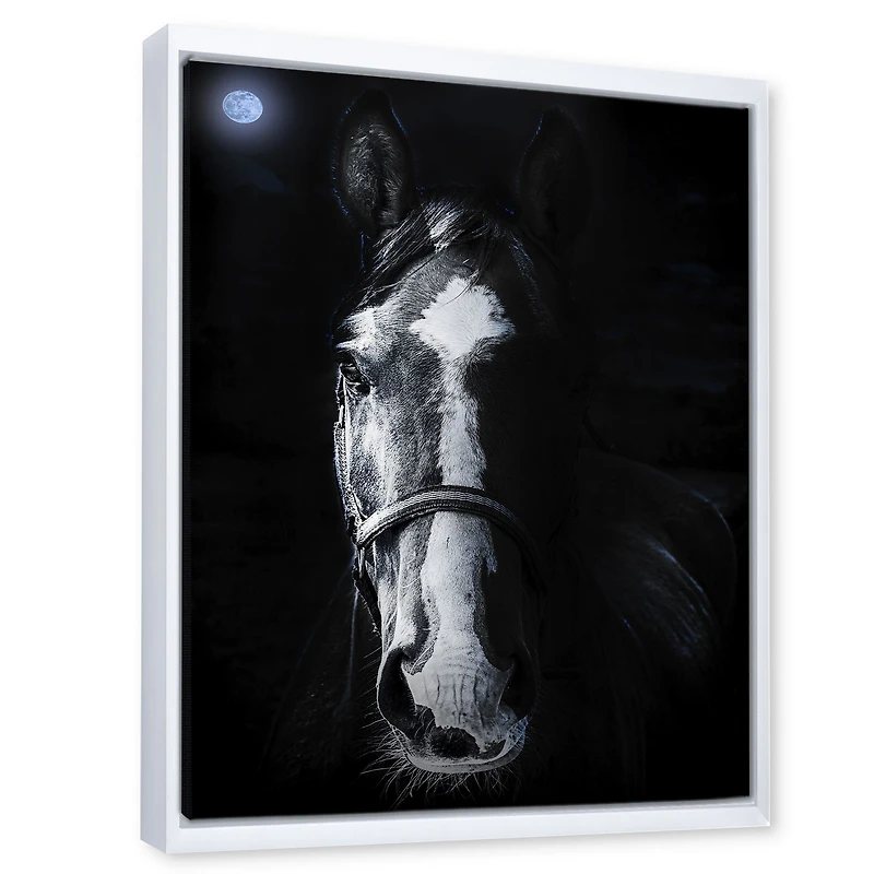 Horse Staring Sinister  Wall Art