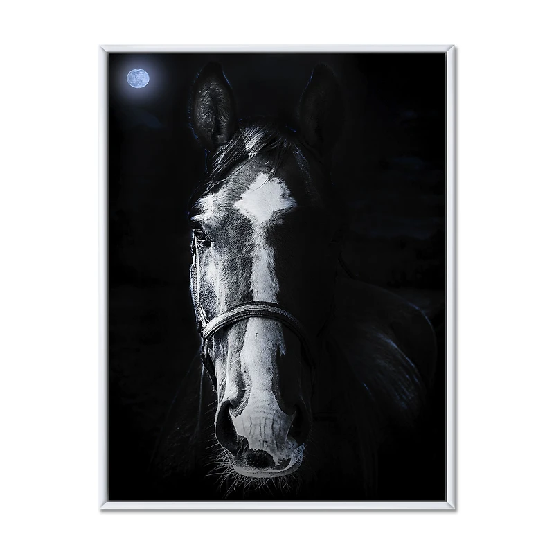 Horse Staring Sinister  Wall Art