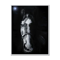 Horse Staring Sinister  Wall Art