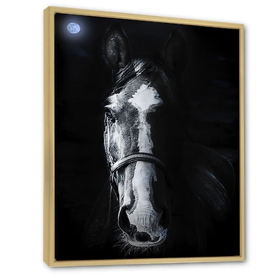 Horse Staring Sinister  Wall Art
