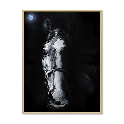 Horse Staring Sinister  Wall Art