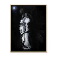 Horse Staring Sinister  Wall Art