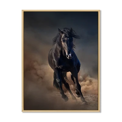 Portrait of Thoroughbred Nonius Stallion Horse I  Wall Art