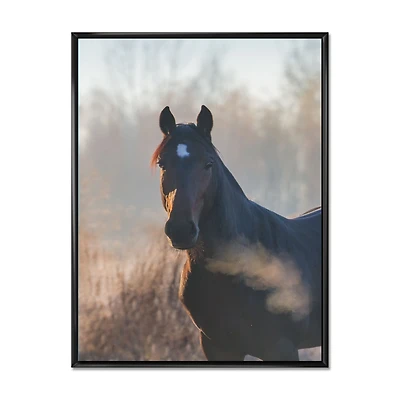 Portrait of A Horse on An Autumn Morning Wall Art
