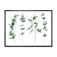 Green Eucalyptus Branches I  Canvas Wall Art Print