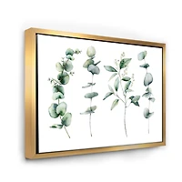 Green Eucalyptus Branches I  Canvas Wall Art Print