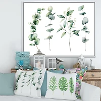 Green Eucalyptus Branches I  Canvas Wall Art Print