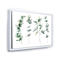 Green Eucalyptus Branches I  Canvas Wall Art Print