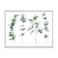 Green Eucalyptus Branches I  Canvas Wall Art Print