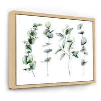 Green Eucalyptus Branches I  Canvas Wall Art Print