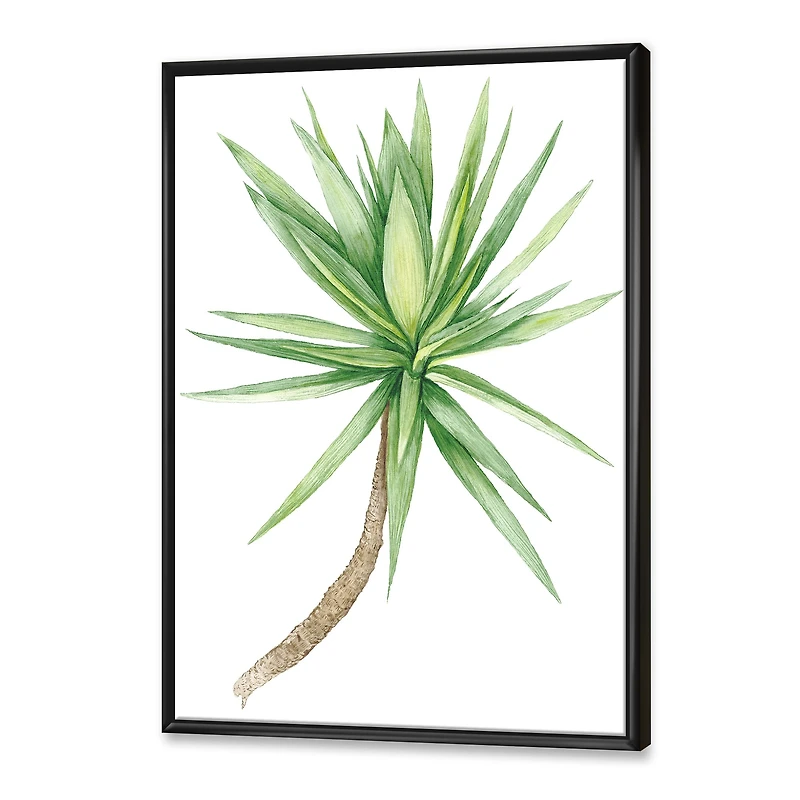 Detail of Yucca Tree  Canvas Wall Art Print