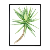 Detail of Yucca Tree  Canvas Wall Art Print