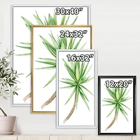 Detail of Yucca Tree  Canvas Wall Art Print