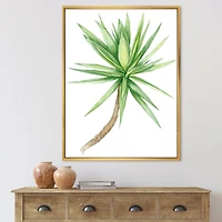 Detail of Yucca Tree  Canvas Wall Art Print