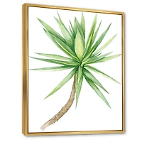 Detail of Yucca Tree  Canvas Wall Art Print
