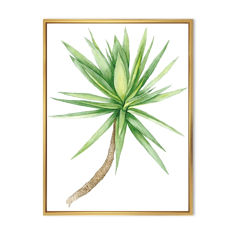 Detail of Yucca Tree  Canvas Wall Art Print