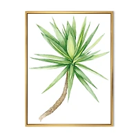 Detail of Yucca Tree  Canvas Wall Art Print