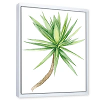 Detail of Yucca Tree  Canvas Wall Art Print