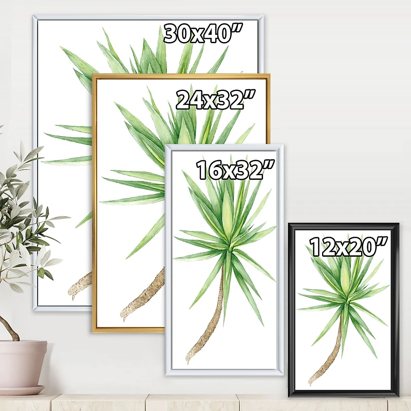 Detail of Yucca Tree  Canvas Wall Art Print