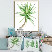 Detail of Yucca Tree  Canvas Wall Art Print