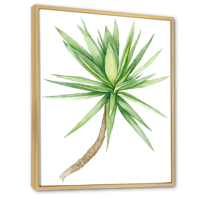 Detail of Yucca Tree  Canvas Wall Art Print