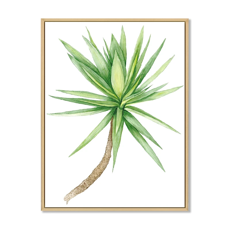 Detail of Yucca Tree  Canvas Wall Art Print