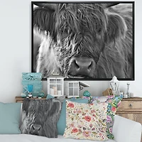 Scottish Highland Cows Living on Moorland Wall Art