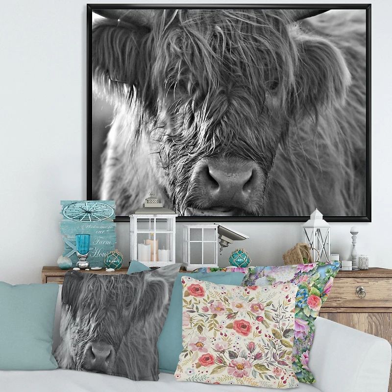 Scottish Highland Cows Living on Moorland Wall Art