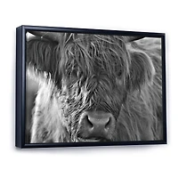 Scottish Highland Cows Living on Moorland Wall Art