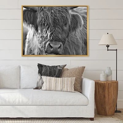 Scottish Highland Cows Living on Moorland Wall Art