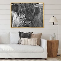Scottish Highland Cows Living on Moorland Wall Art