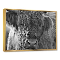 Scottish Highland Cows Living on Moorland Wall Art
