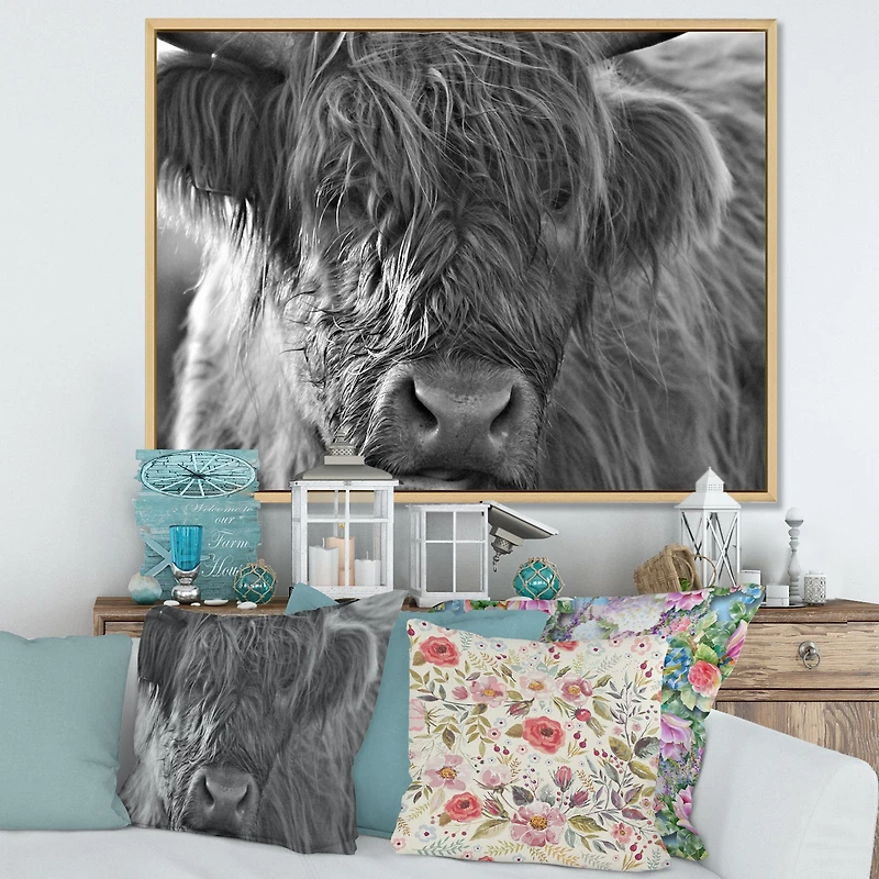 Scottish Highland Cows Living on Moorland Wall Art