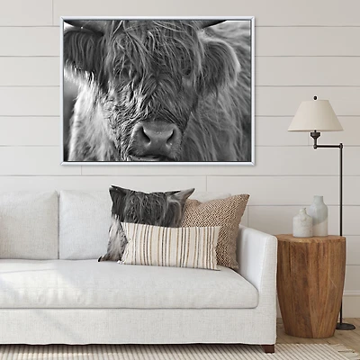Scottish Highland Cows Living on Moorland Wall Art