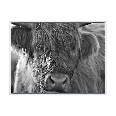 Scottish Highland Cows Living on Moorland Wall Art