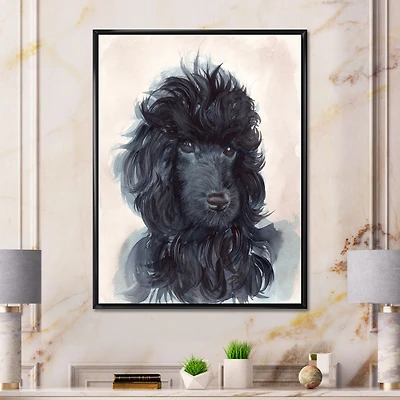Portrait of The Black Poodle Puppy with Curly Coat  Canvas Wall Art Print