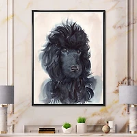 Portrait of The Black Poodle Puppy with Curly Coat  Canvas Wall Art Print