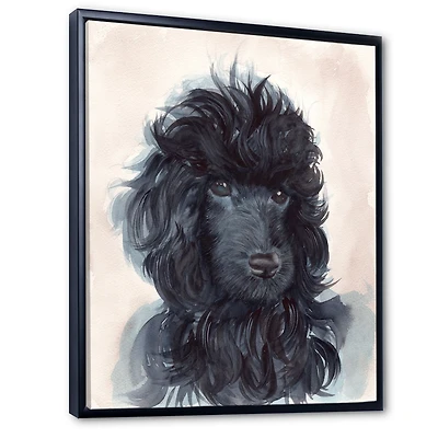 Portrait of The Black Poodle Puppy with Curly Coat  Canvas Wall Art Print