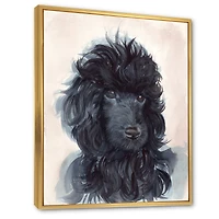 Portrait of The Black Poodle Puppy with Curly Coat  Canvas Wall Art Print