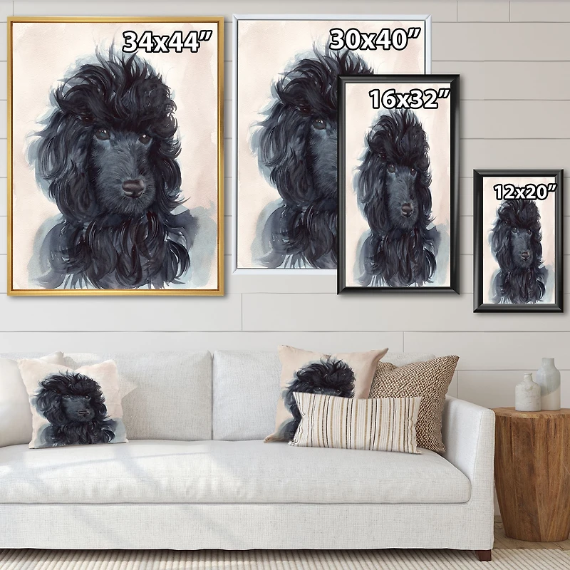 Portrait of The Black Poodle Puppy with Curly Coat Canvas Wall Art Print