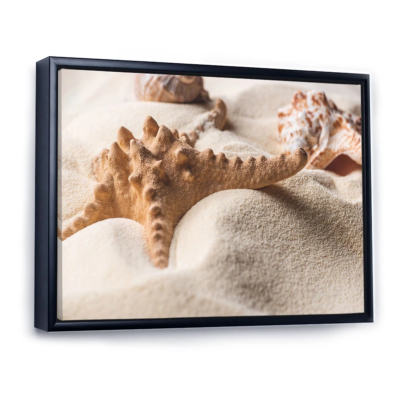 Close Up of Starfish and Seashell on Light Sand Canvas Wall Art Print