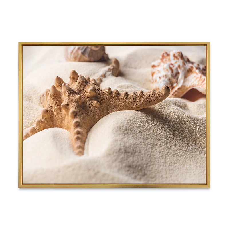 Close Up of Starfish and Seashell on Light Sand Canvas Wall Art Print