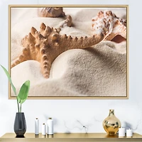 Close Up of Starfish and Seashell on Light Sand Canvas Wall Art Print