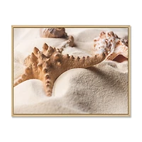 Close Up of Starfish and Seashell on Light Sand Canvas Wall Art Print