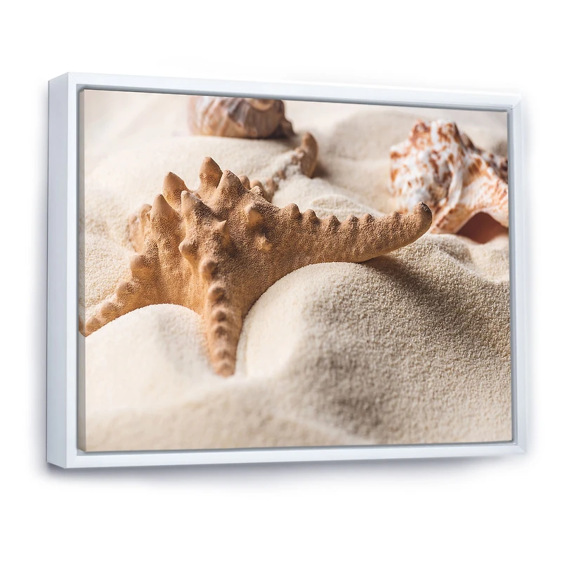 Close Up of Starfish and Seashell on Light Sand Canvas Wall Art Print