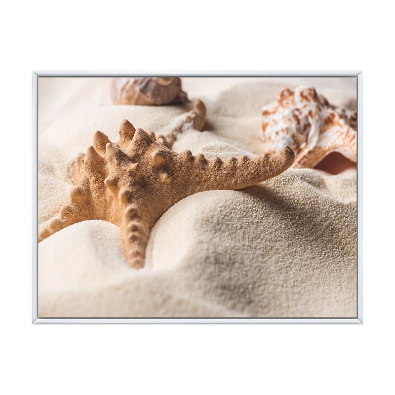 Close Up of Starfish and Seashell on Light Sand Canvas Wall Art Print