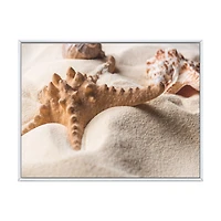 Close Up of Starfish and Seashell on Light Sand Canvas Wall Art Print